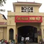 Ninh Hiep Fabric Market